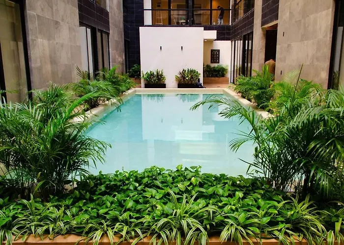 Apartment Ocean View Cozy W Gym, Rooftop, Jacuzzi 417 Musa