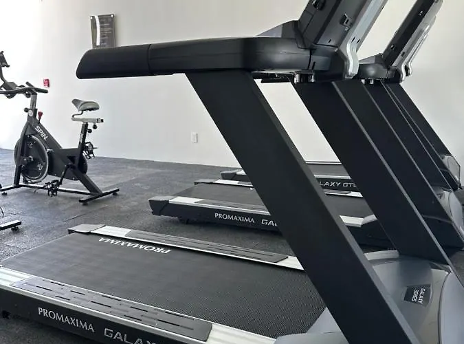 Apartment Ocean View Cozy W Gym, Rooftop, Jacuzzi 417 Musa